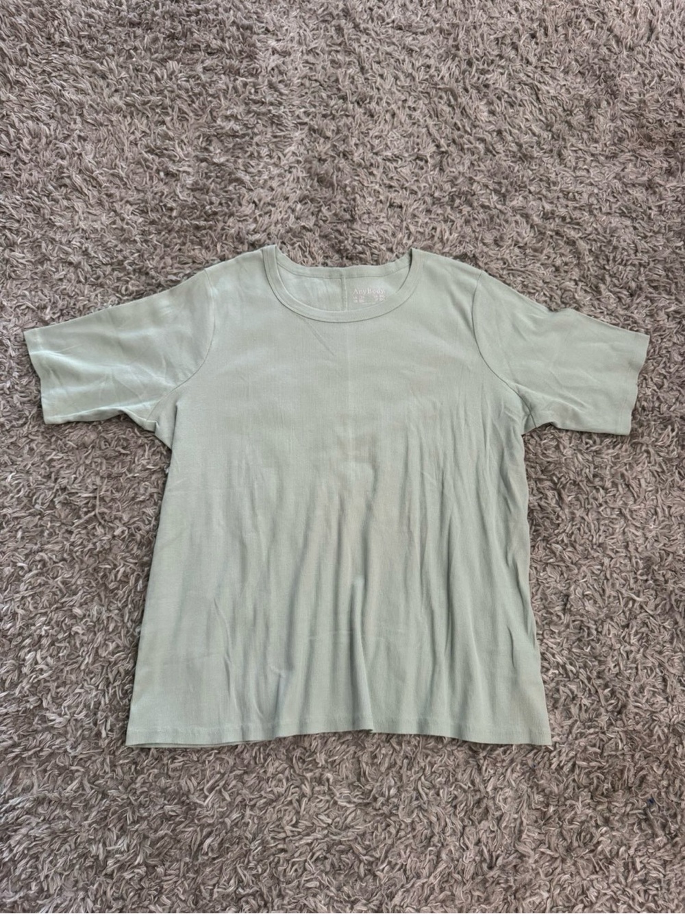 ANYBODY 2X ✨ plus size ribbed short sleeve tee with stretch mint EUC